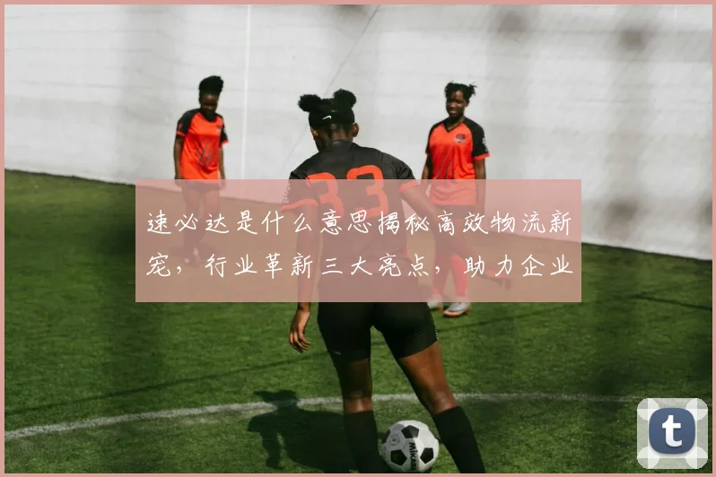 速必达是什么意思揭秘高效物流新宠，行业革新三大亮点，助力企业腾飞