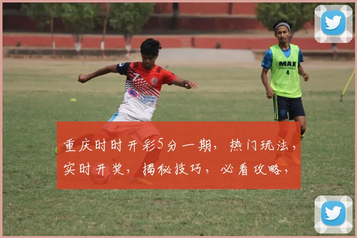 重庆时时开彩5分一期，热门玩法，实时开奖，揭秘技巧，必看攻略，轻松赚钱