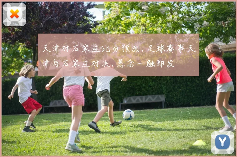 天津对石家庄比分预测,足球赛事天津与石家庄对决,悬念一触即发