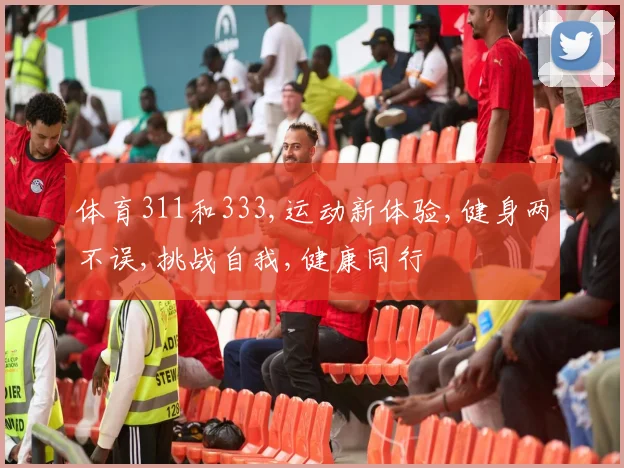 体育311和333,运动新体验,健身两不误,挑战自我,健康同行