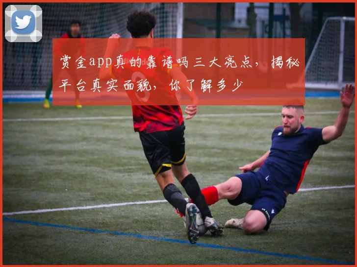 赏金app真的靠谱吗三大亮点，揭秘平台真实面貌，你了解多少