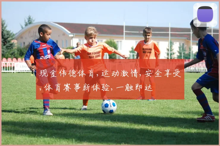 现金伟德体育,运动激情,安全享受,体育赛事新体验,一触即达