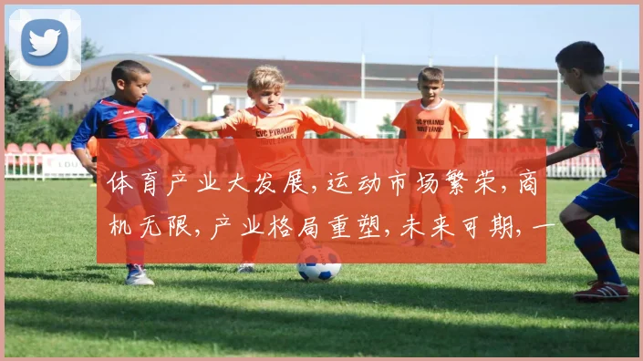 体育产业大发展,运动市场繁荣,商机无限,产业格局重塑,未来可期,一触即发。