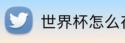 世界杯怎么存款 Logo